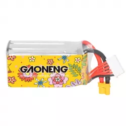 Аккумулятор GNB 5S 19.0V 850mAh 120C/240C LiPo для дрона с разъёмом XT30