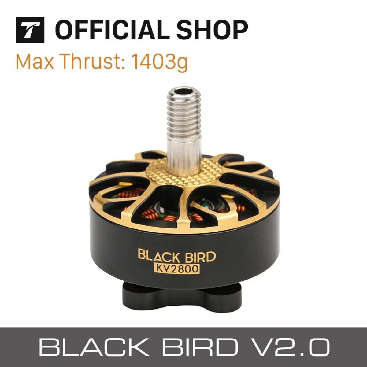 Бесколлекторный мотор T-motor BLACK BIRD V2.0 KV2800 для FPV дронов-гонок, Out-runner, Racing RC Бесколлекторный мотор T-motor BLACK BIRD V2.0 KV2800 для FPV дронов-гонок, Out-runner, Racing RC